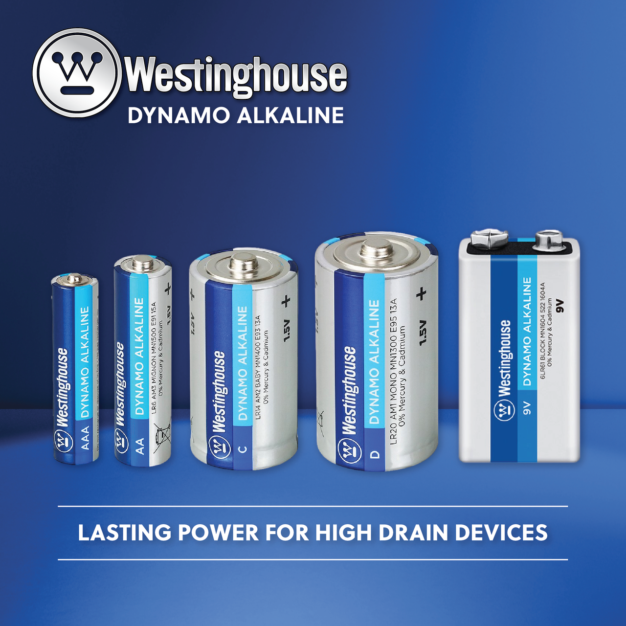 Westinghouse AA Dynamo Alkaline Plastic Tub of 24