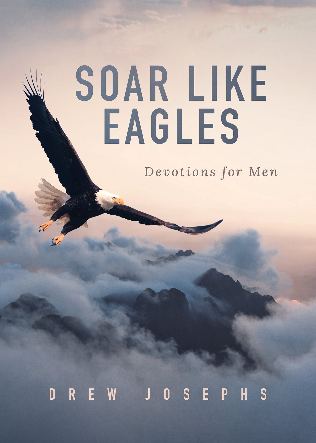 Soar Like Eagles : Devotions for Men - Mercantile Mountain