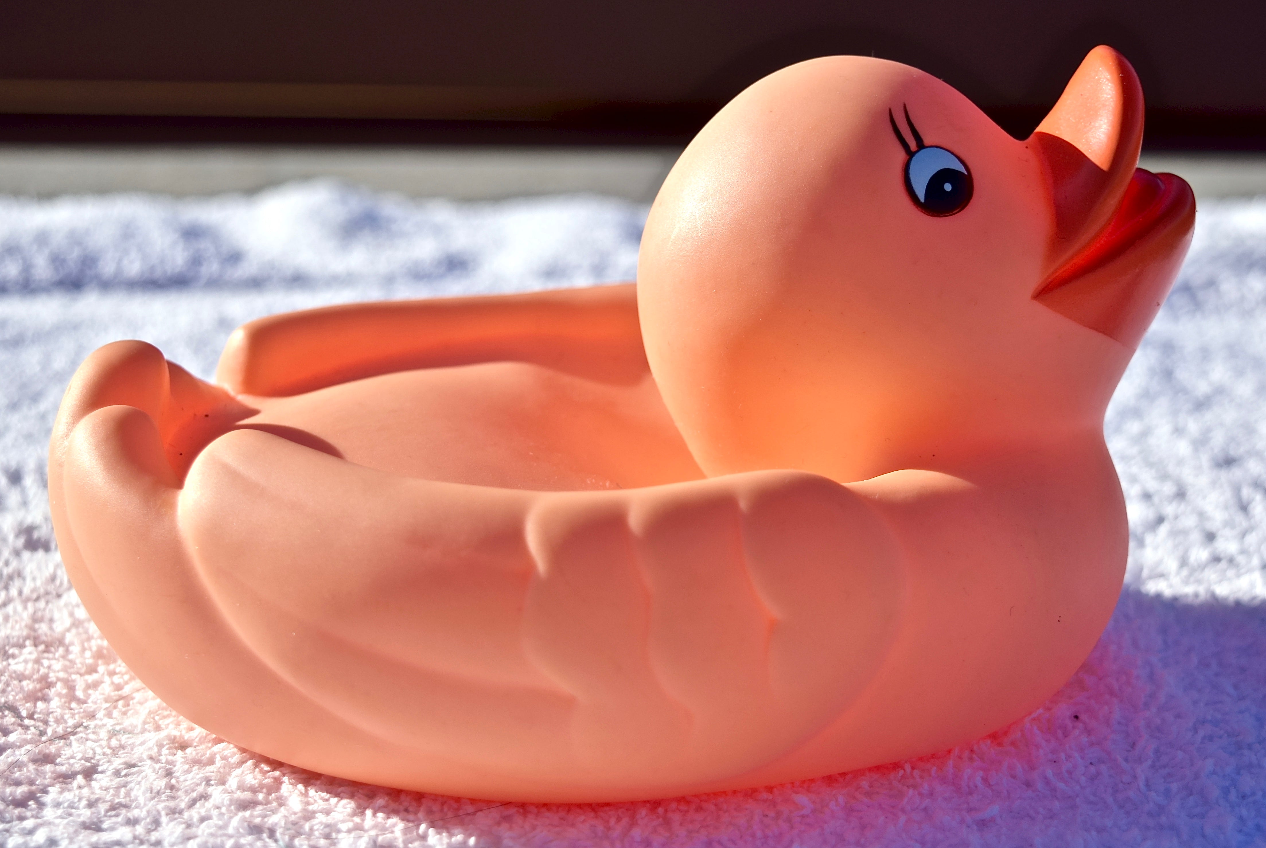 Real rubber duck hotsell