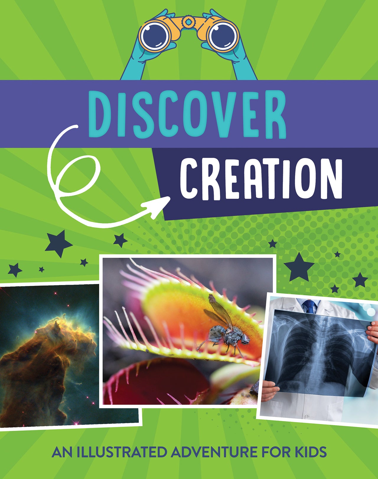 Discover Creation - Mercantile Mountain