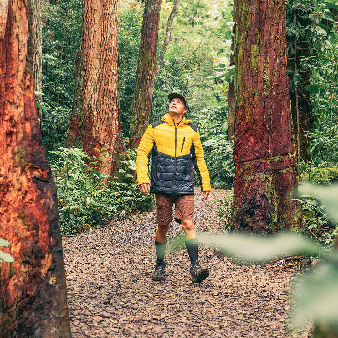 EcoDown Jacket - Men Yellow - Mercantile Mountain