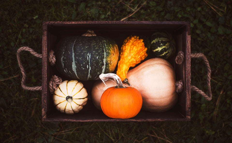 https://www.mercantilemountain.com/cdn/shop/files/fall-vegetable-box.jpg?v=1696009612&width=960