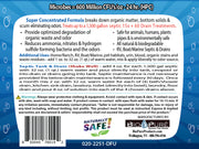 Bio-Pure Septic & Drain + RV Restore & Maintain 32 Oz. - 15 Month Supply - Mercantile Mountain